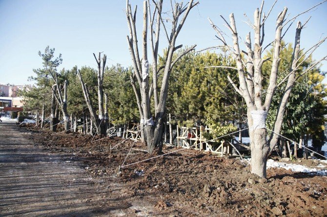 Odunpazarı Belediyesi’nden Açıklama;