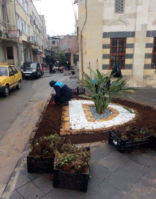 Kilis’te Park Refüjlere Çiçek Ekimine Başlandı