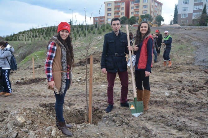 Körfez’de Ağaçlandırma Çalışmaları Sürüyor