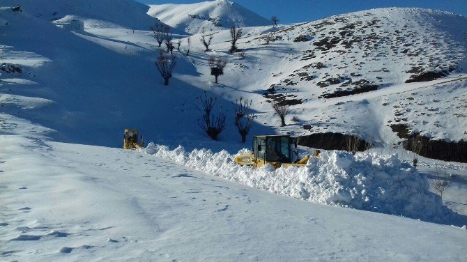 Sincik İlçesinde Kar Hayatı Olumsuz Etkiliyor