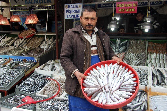 Kar Ve Soğuk Hava Balık Fiyatlarını Yüzde 15 Attırdı