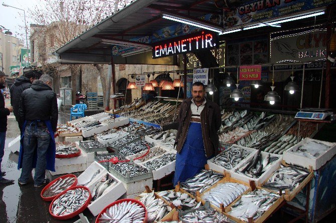 Kar Ve Soğuk Hava Balık Fiyatlarını Yüzde 15 Attırdı