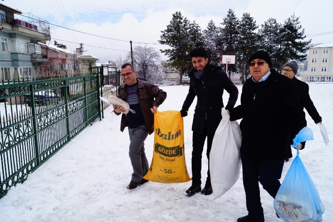 Öğrenciler Sokak Hayvanlarına Duyarsız Kalmadı