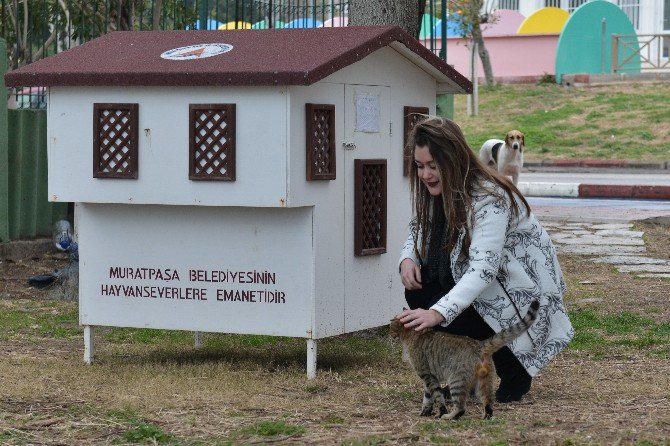 Muratpaşa Belediyesi, 18 Yeni Kedi Evi Yerleştirdi