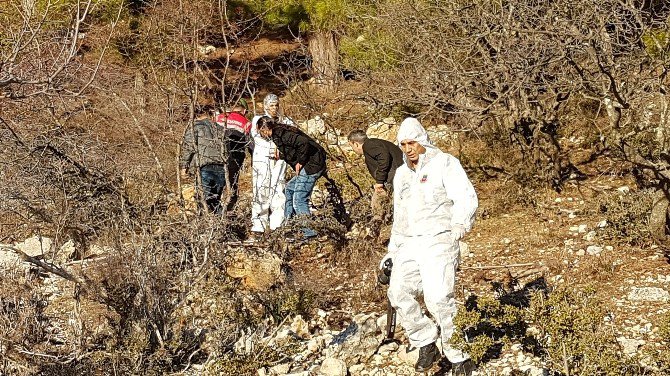 Manavgat’ta Vahşi Hayvanlar Tarafından Parçalanmış Erkek Cesedi Bulundu