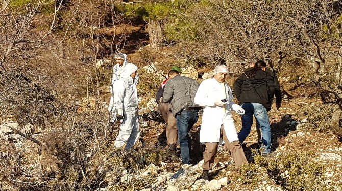 Manavgat’ta Vahşi Hayvanlar Tarafından Parçalanmış Erkek Cesedi Bulundu