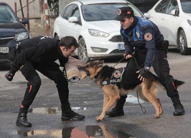 Suçluların Korkulu Rüyası "Leon"