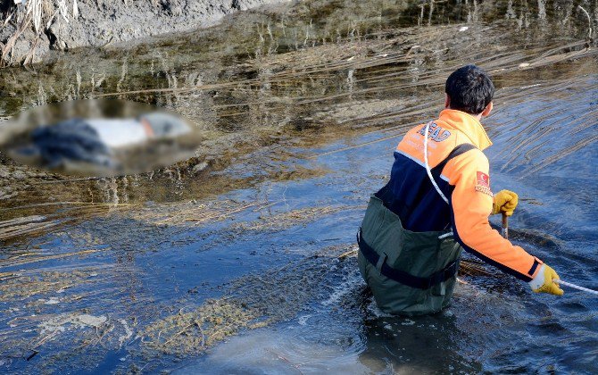 45 Gündür Kayıp Olan Zihinsel Engelli Şahıs Ölü Bulundu