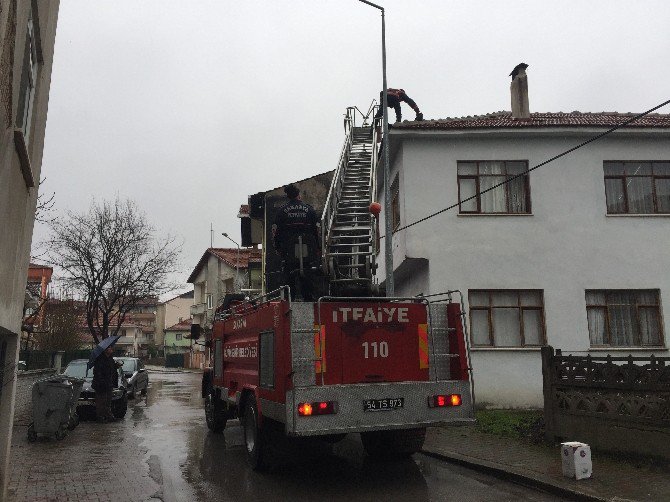 Çatıda Mahsur Kalan Kedi İtfaiye Ekiplerince Kurtarıldı