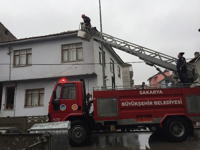 Çatıda Mahsur Kalan Kedi İtfaiye Ekiplerince Kurtarıldı