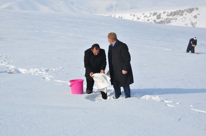 Köylülerden Örnek Davranış