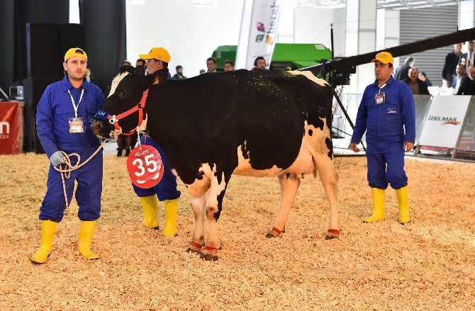 Agroexpo, Ziyaretçilerine Dolu Bir Etkinlik Hazırladı