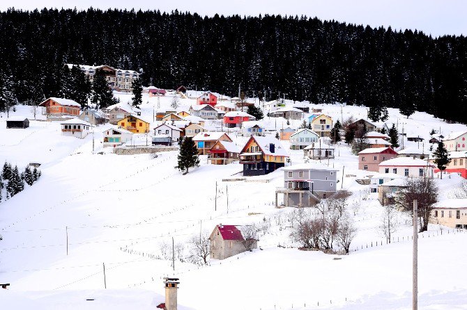 Burası Alpler Değil, Karadeniz Yaylaları