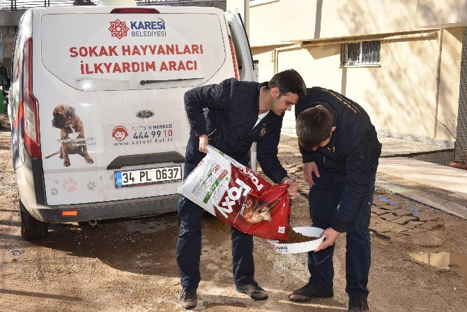 Hayvanlara Karesi Şefkati