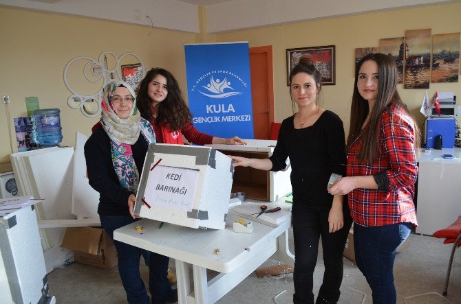 Kulalı Gençler Sokak Hayvanları İçin Barınak Yaptı