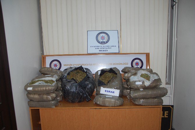 Mersin Polisi, 191 Kilogram Esrar Ele Geçirdi