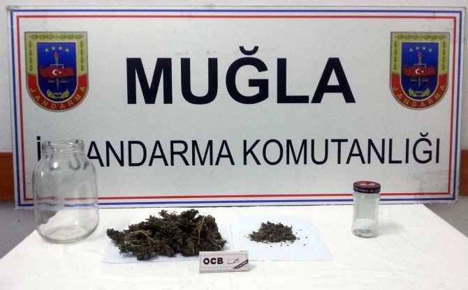 Jandarma Uyuşturucuyla Mücadeleyi Sürdürüyor