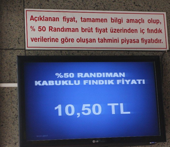 Fındık 1,5 Ay Sonra 25 Kuruş Arttı