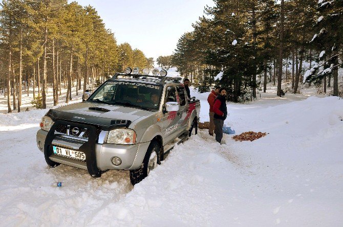 Off-road Üyelerinden Sokak Hayvanlarına Yem