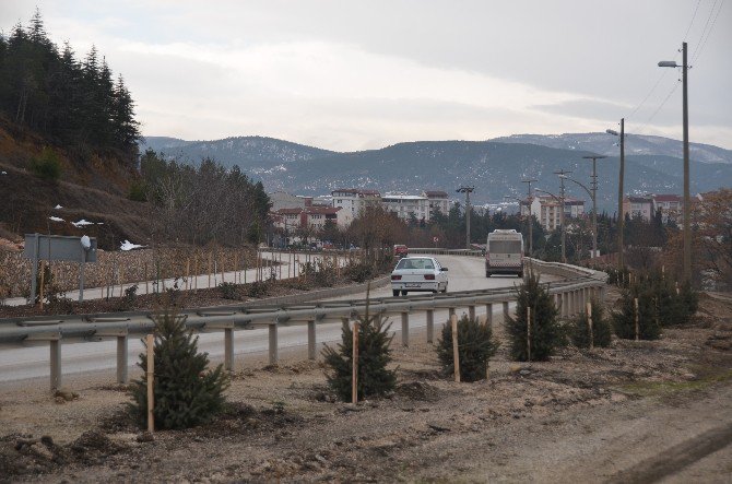 Yüzlerce Ağaç Fidanı Toprakla Buluştu