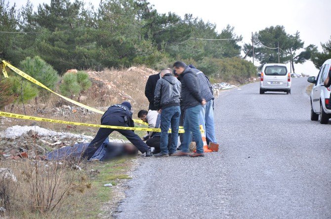 Döverek Öldürüp Ormanlık Alana Attılar