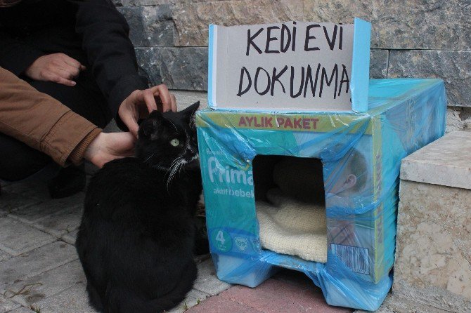 İki Esnafın Kedi Tartışması Bimer’e Taşındı