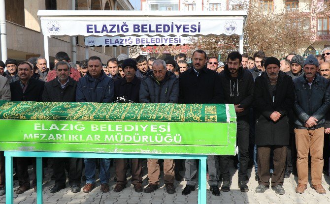 34 Yaşındaki Veteriner, Kalp Krizine Yenik Düştü