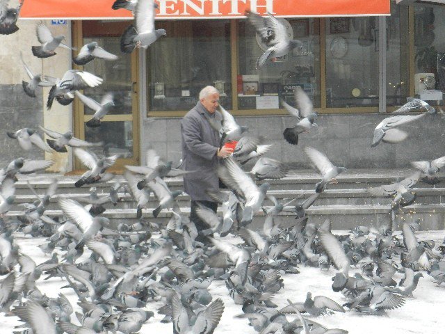 Dondurucu Soğuklarda Güvercinlere Sahip Çıktı