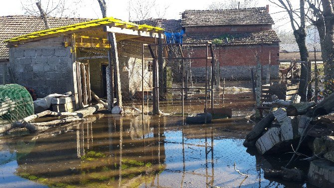 Bafra’da Yer Altı Suları Bahçe Ve Tarım Arazilerini Göle Çevirdi