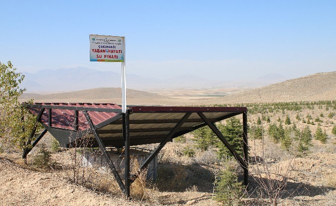 Karaman’da Yaban Hayvanları İçin Su Pınarları Yapıldı