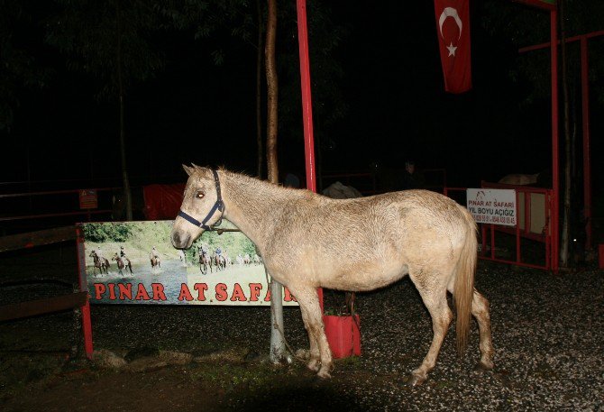 Marmaris’te Sağanak Yağış Heyelana Neden Oldu