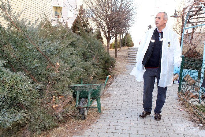 Niğde’deki Arkadaş Kavgası Ölümle Sonuçlandı