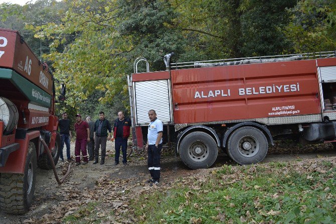 Alaplı İtfaiyesi 2016 Yılında 379 Olaya Müdahale Etti