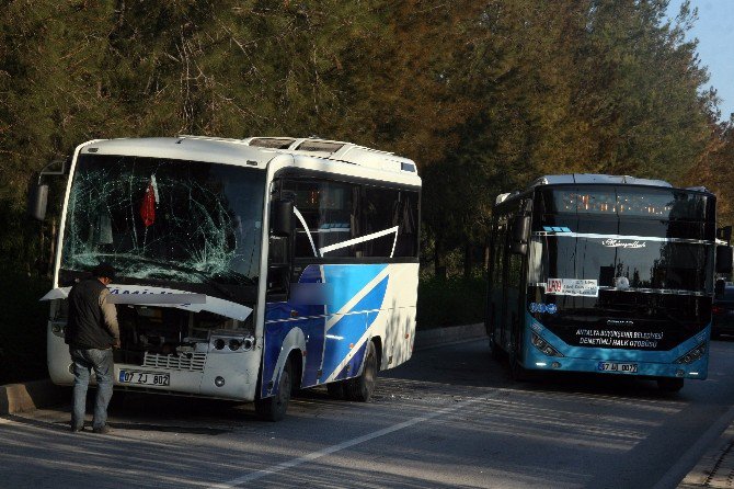 Antalya’da Zincirleme Kazası: 9 Yaralı