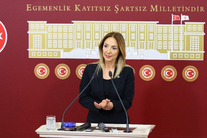 Bağımsız Ankara Milletvekili Aylin Nazlıaka: