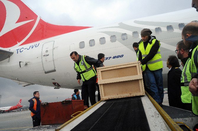 Uçak Kazasında Hayatını Kaybedenlerin Cenazesi Türkiye’ye Getirildi