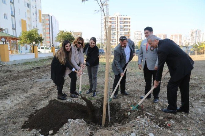 Mezitli’de 26. Jakaranda Koruluğu Açıldı