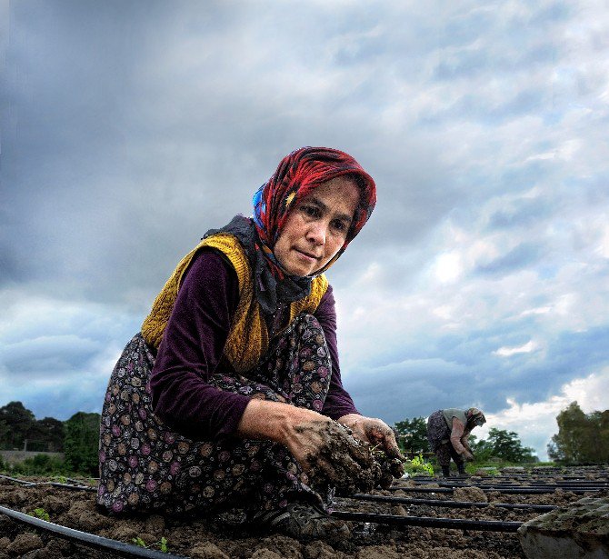 Tarımda Genç Girişimci Kadınlar Güçleniyor Programı Erzincan’da Başladı