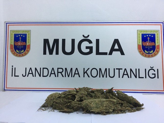 Marmaris’te Jandarma 1,5 Kilogram Uyuşturucu Ele Geçirdi