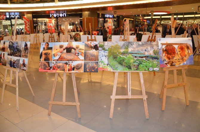 15 Temmuz Darbe Girişimi Ve Darende Tanıtım Sergisi Açıldı