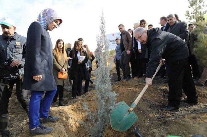 Mardin’de ’Bereket Ormanlarına’ Fidan Dikildi