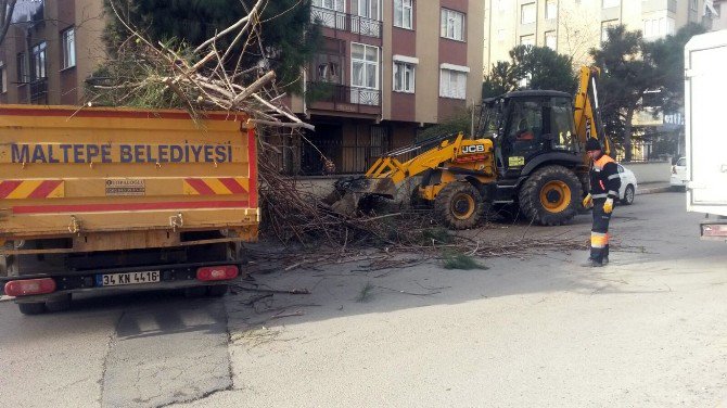 Maltepe’de 1 Yılda 169 Bin Ton Çöp Toplandı