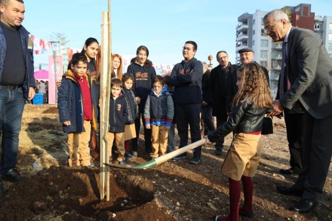 Mezitli’de 27. Jakaranda Koruluğu Oluşturuldu