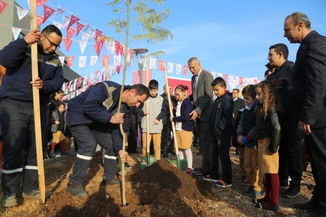 Mezitli’de 27. Jakaranda Koruluğu Oluşturuldu