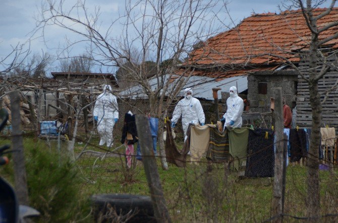 Bafra’da Kümes Hayvanı İtlafları Devam Ediyor