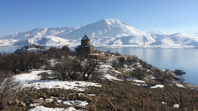 Akdamar Adası’ndaki Tavşanlar Yeniden Toplanacak