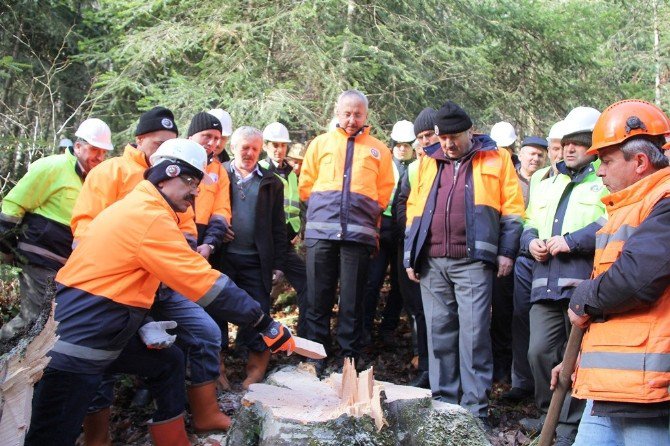 Zonguldak’da Uygulamalı Ağaç Kesme Eğitimi Verildi