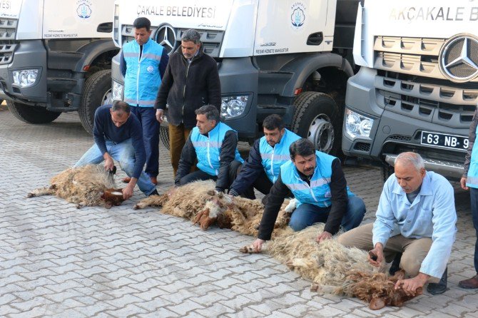 Akçakale Belediyesi Araç Filosunu Güçlendirdi