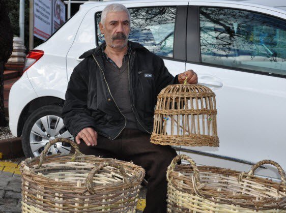 Ağacı Sanata Dönüştürüyor