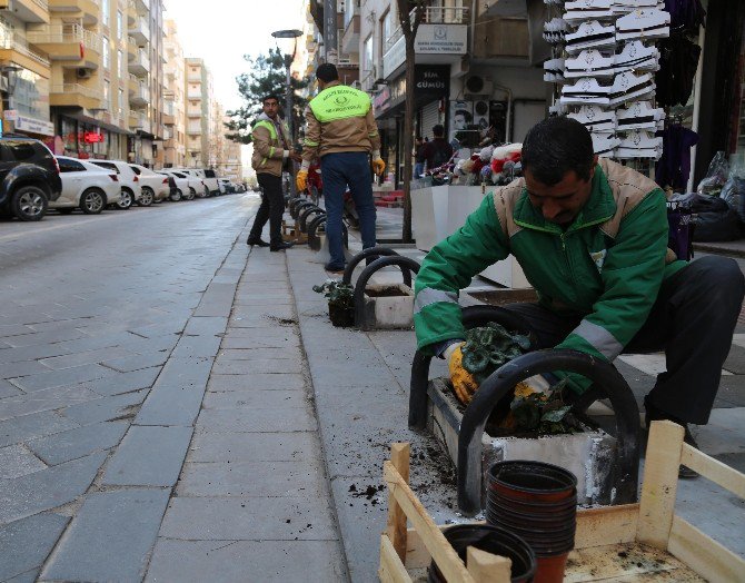 Bahçelievler Çiçeklerle Donatıldı